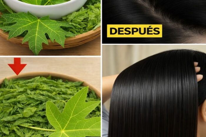 Transforma tu Cabello de Canoso a Negro de forma Natural con Hojas de Papaya