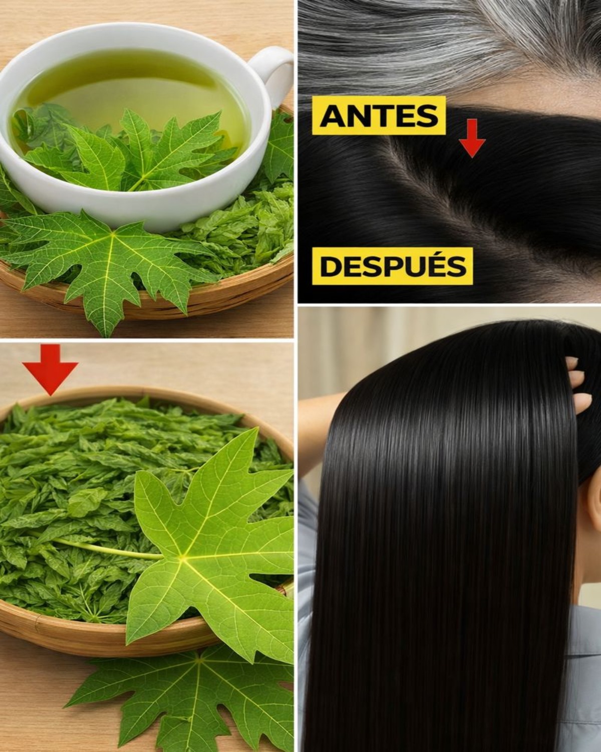 Beneficios de las Hojas de Papaya para el Cabello