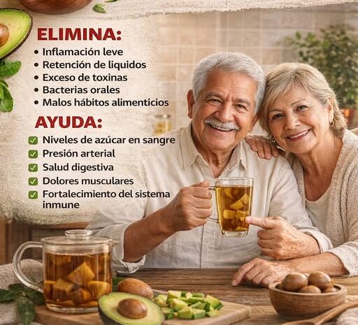 Descubre el Poder Oculto de la Semilla de Aguacate para Transformar Tu Salud