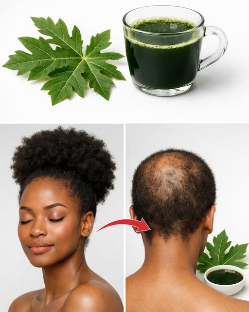 Hojas de Papaya para el Cabello