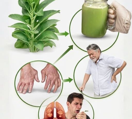 Beneficios y Recetas Naturales con Kalanchoe para Mejorar tu Salud