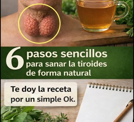Seis pasos sencillos para sanar la tiroides de forma natural