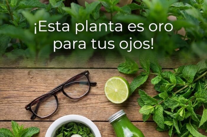 Orégano Natural Secretamente Poderoso para la Salud Ocular