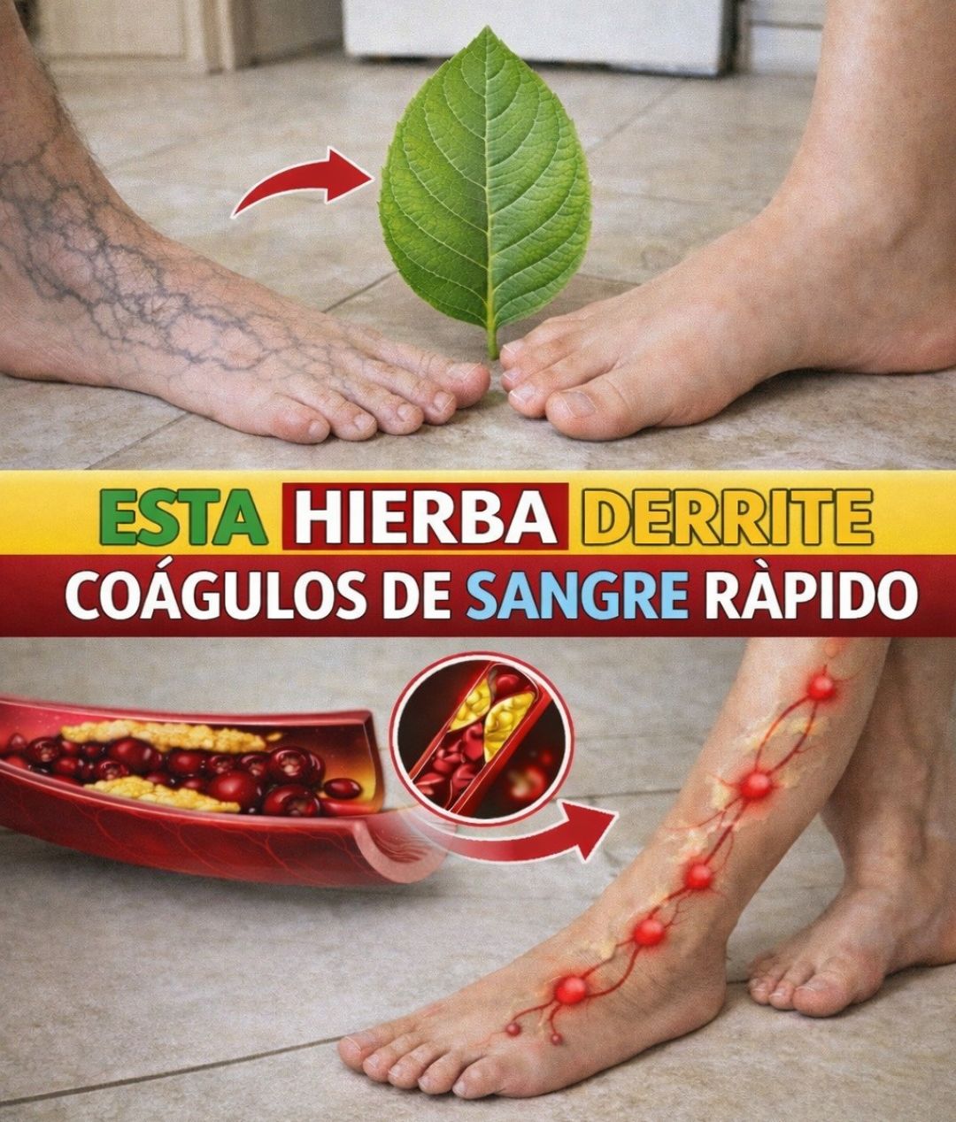 Hierbas naturales para mejorar la circulación