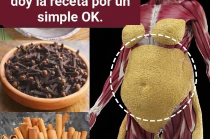 Té de Piña con Canela para Bajar de Peso y Mejorar la Salud
