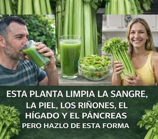 Beneficios del Apio y Receta de Jugo Verde para una Salud Óptima
