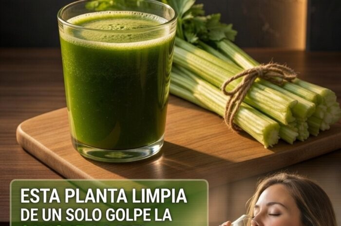 Descubre los Beneficios del Té de Apio y Transforme Tu Bienestar Naturalmente