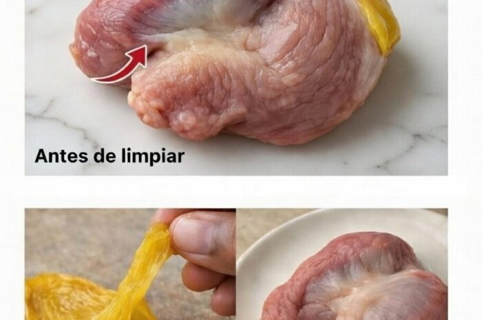 El musculo mágico 7 secretos de la molleja que tu digestión ignora