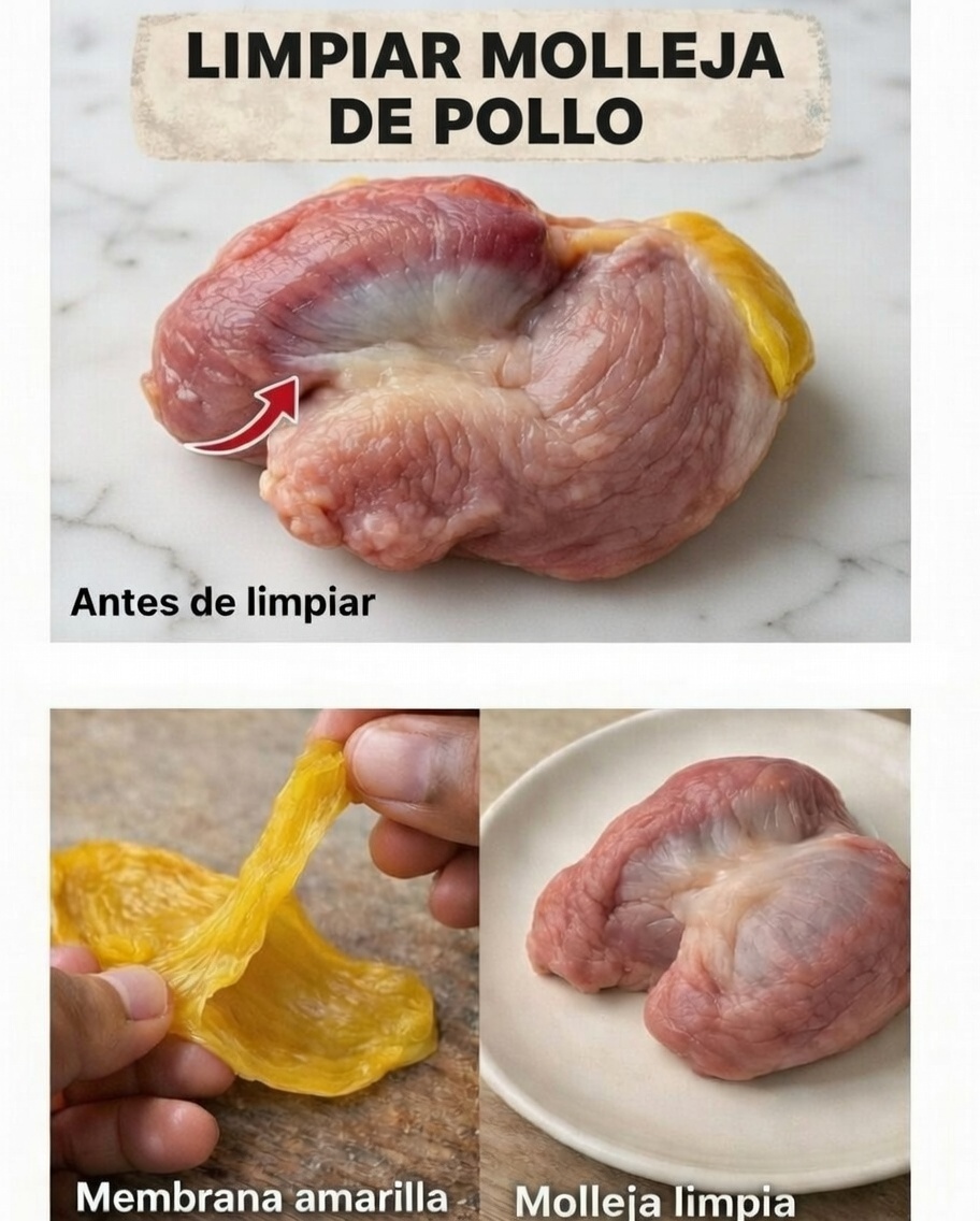 Proceso de limpieza de mollejas de pollo