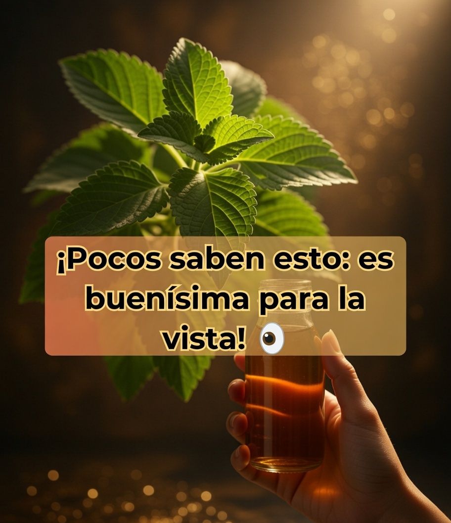 Orégano Orejón para la vista