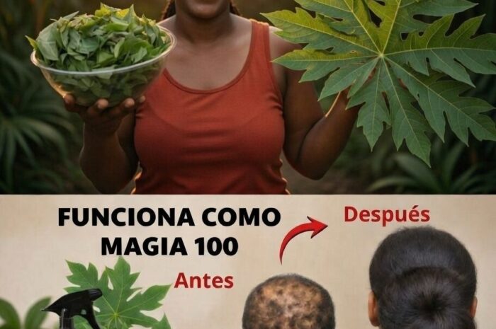 Hojas de papaya para un crecimiento extremo del cabello