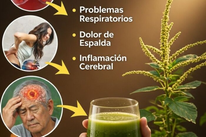 Descubre el Valor del Amaranto en Tu Jardín como un Remedio Natural para la Salud