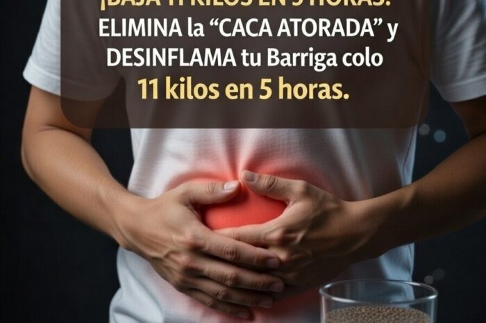 Batido Nocturno de Chía Linaza y Limón para un Abdomen Ligero