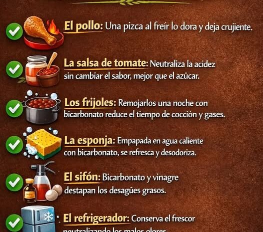 Tortilla Esponjosa Con Bicarbonato Un Delicioso Secreto de Cocina