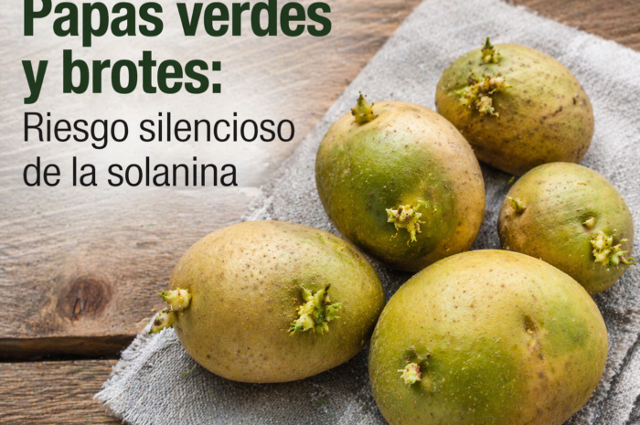 Papas verdes y brotes: Riesgo silencioso de la solanina