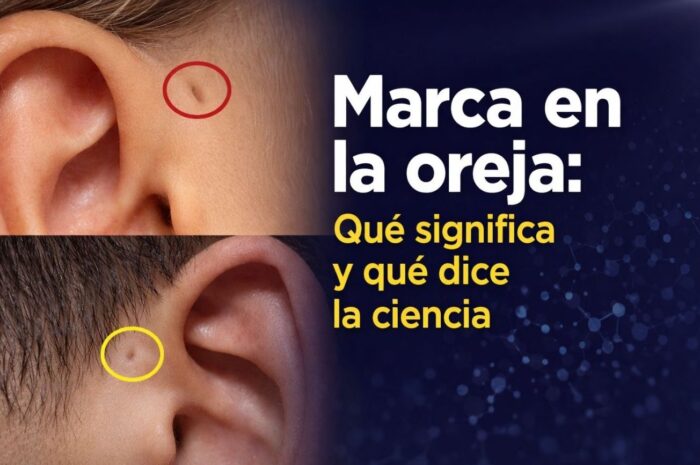 Marca en la oreja: Qué significa y qué dice la ciencia